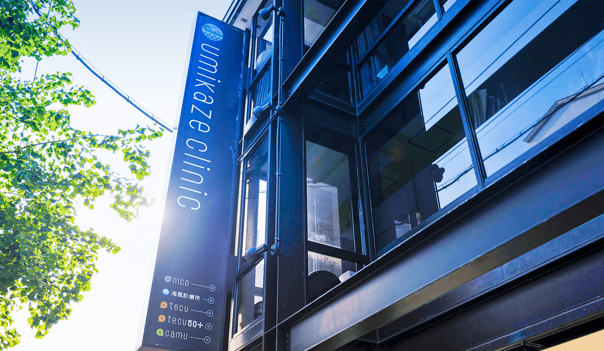 トレーフル・プリュス イメージ